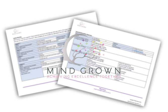 Psychosocial Recovery Coaching – Recovery Plan