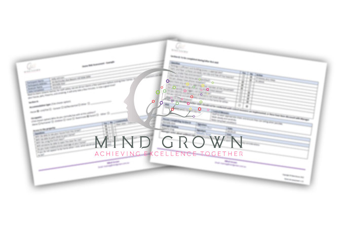 Home Risk Assessment Form